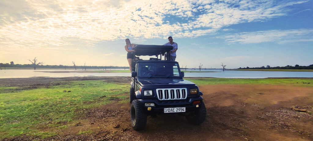 9088ef18-032d-4064-b6ed-d1c132e645b6